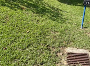 Gloria J.'s lawn maintenance service result