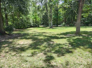 Meredith F.'s lawn maintenance service result