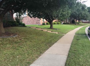 Lauren A.'s grass cutting service result
