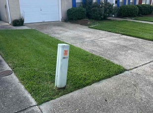 Heather W.'s turf care service result