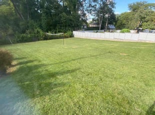 Darcie A.'s turf maintenance service result