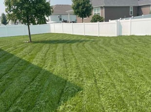 Shareika M.'s turf care service result