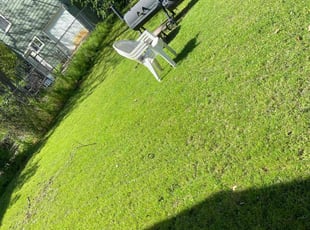 Michelle H.'s grass maintenance service result