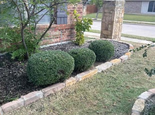 Bill P.'s Bush Trimming service result