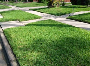 Jennifer S.'s lawn maintenance service result