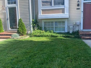 Olumide O.'s lawn care services service result