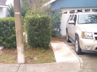 Niels C.'s Bush Trimming service result