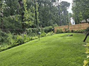 Stephanie G.'s turf maintenance service result