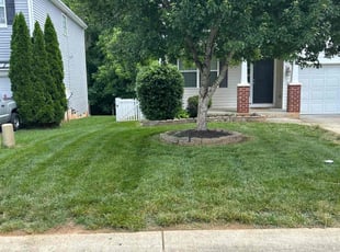 Reginald J.'s turf maintenance service result
