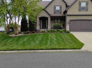 Jasmine S.'s yard maintenance service result