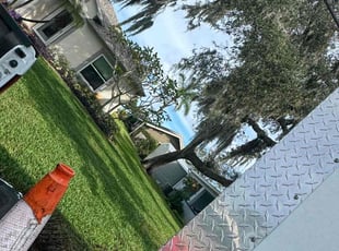 Ray C.'s grass cutting service result