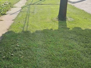 Crystal M.'s lawn care services service result
