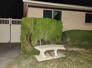 Dionnea M.'s Bush Trimming service result