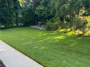 Jonathan P.'s lawn service service result