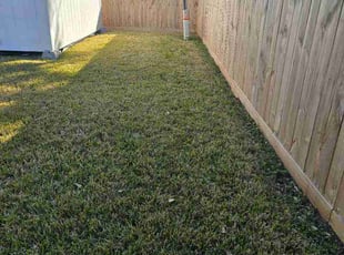 Roberta M.'s grass cutting service result