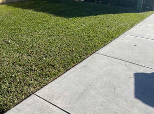 Julia P.'s grass maintenance service result