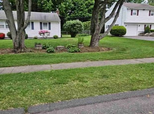 Annie L.'s Cleanups service result