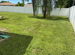 Araceli O.'s grass maintenance service result