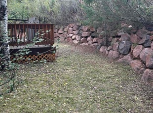 Mike R.'s turf care service result