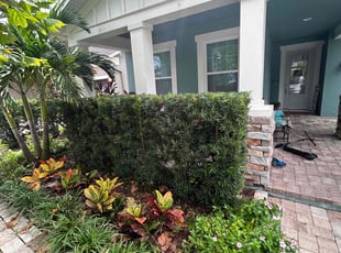 Rebecca D.'s Bush Trimming service result