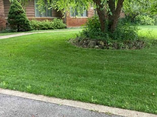 Leanora S.'s turf maintenance service result