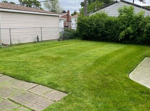 Stephanie G.'s turf care service result