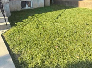 Melissa B.'s lawn service service result