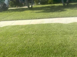 Chet H.'s lawn service service result