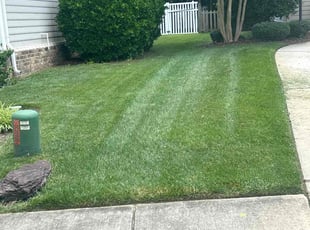 Mike G.'s lawn maintenance service result