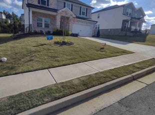 Dedre T.'s lawn care services service result