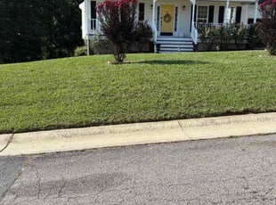 Gwynne M.'s yard maintenance service result