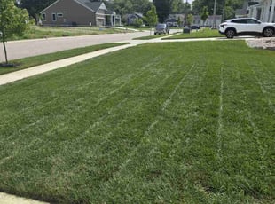 Tiffany H.'s grass cutting service result