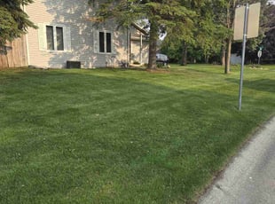 Sam O.'s grass maintenance service result
