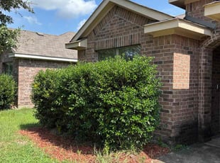 Sybil K.'s grass cutting service result