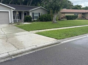 Michael A.'s lawn care service result