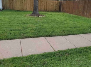 Greg G.'s lawn care service result
