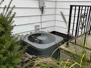 Barbara G.'s Cleanup service result