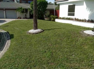 Amanda M.'s grass cutting service result