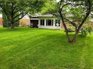 Alexander F.'s grass cutting service result