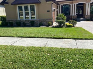 Edgardo P.'s lawn care services service result