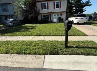 Rico C.'s grass cutting service result