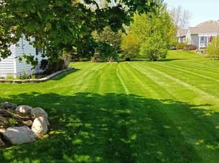 Hanne R.'s grass cutting service result