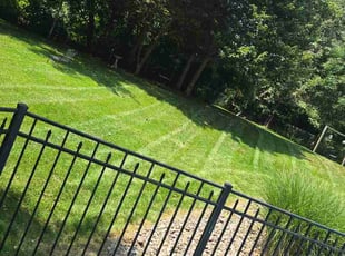 Amelia R.'s turf maintenance service result