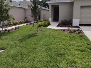 Samantha D.'s lawn care services service result