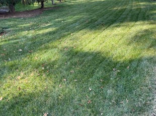 Shelly G.'s lawn care services service result