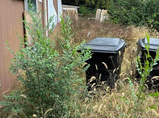 Angelina D.'s lawn service service result