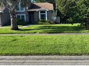 Curtiss P.'s grass maintenance service result