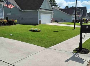 Carolyn R.'s turf maintenance service result