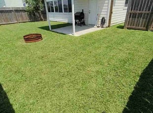 Jamie N.'s grass cutting service result