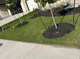 Shanequa G.'s lawn care service result